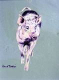 01 - Happy Piggy - Pastel - Wendy Britton.JPG